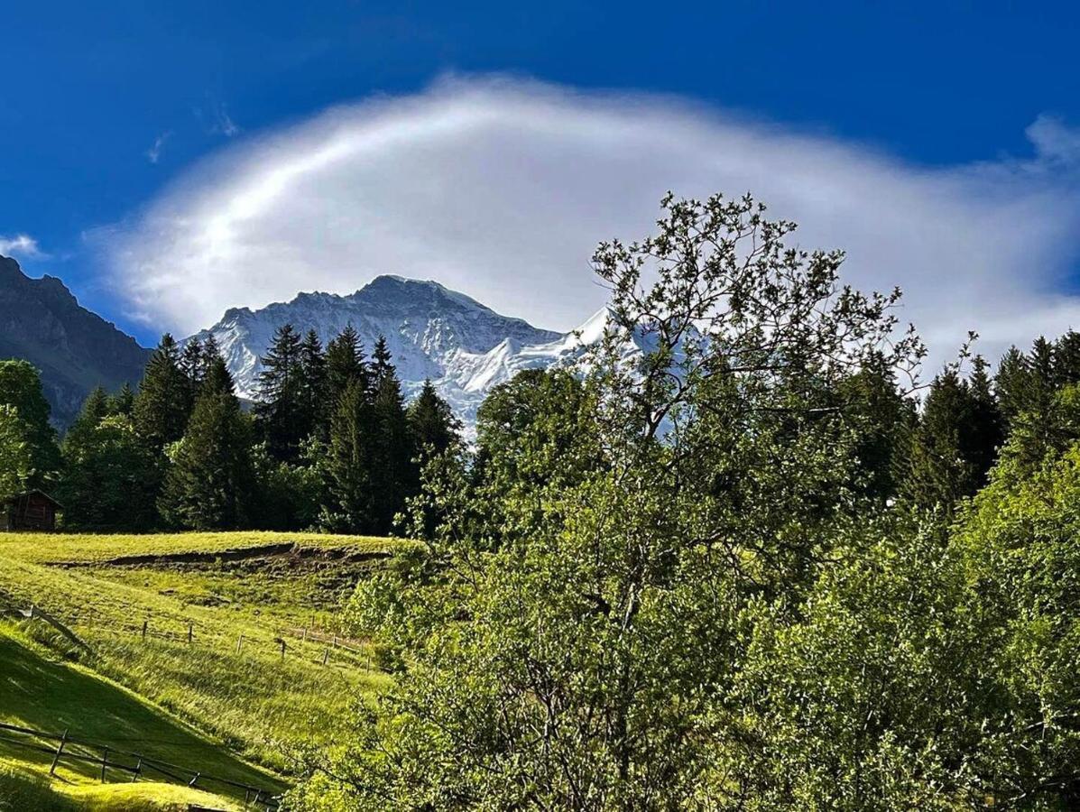 Chalet Viola Венген Экстерьер фото