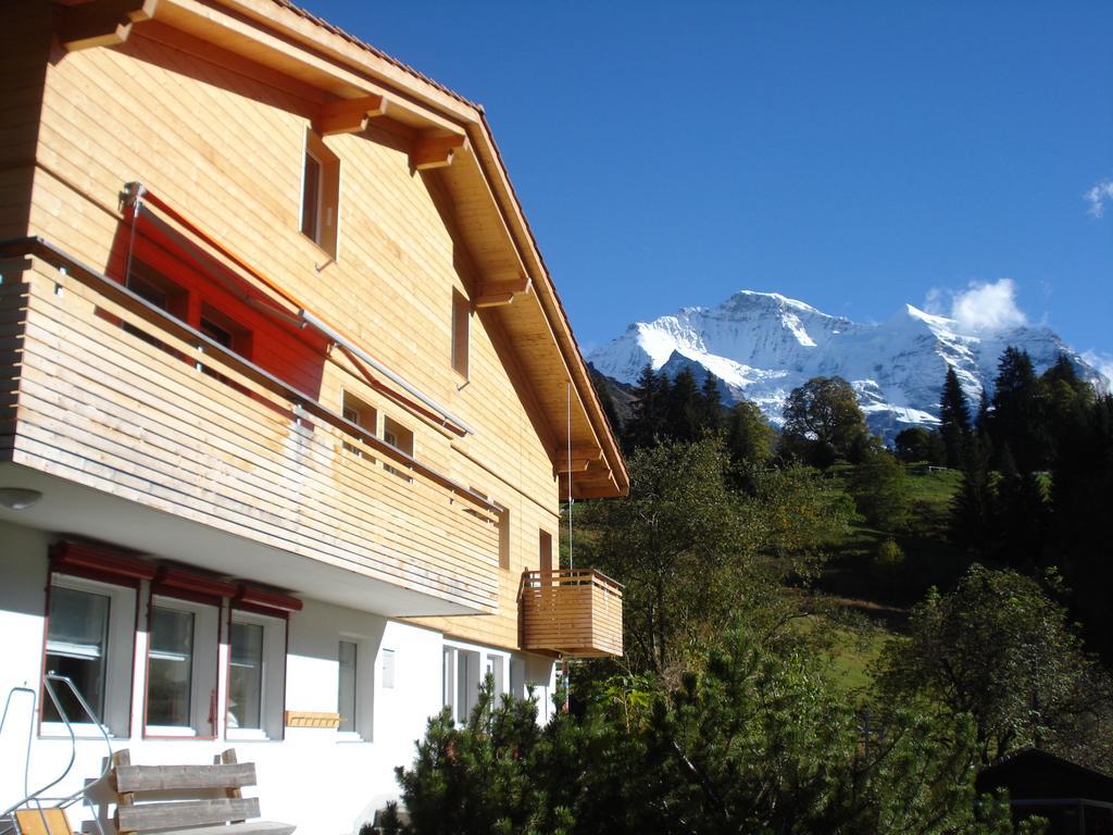 Апартаменты Chalet Viola Венген Экстерьер фото